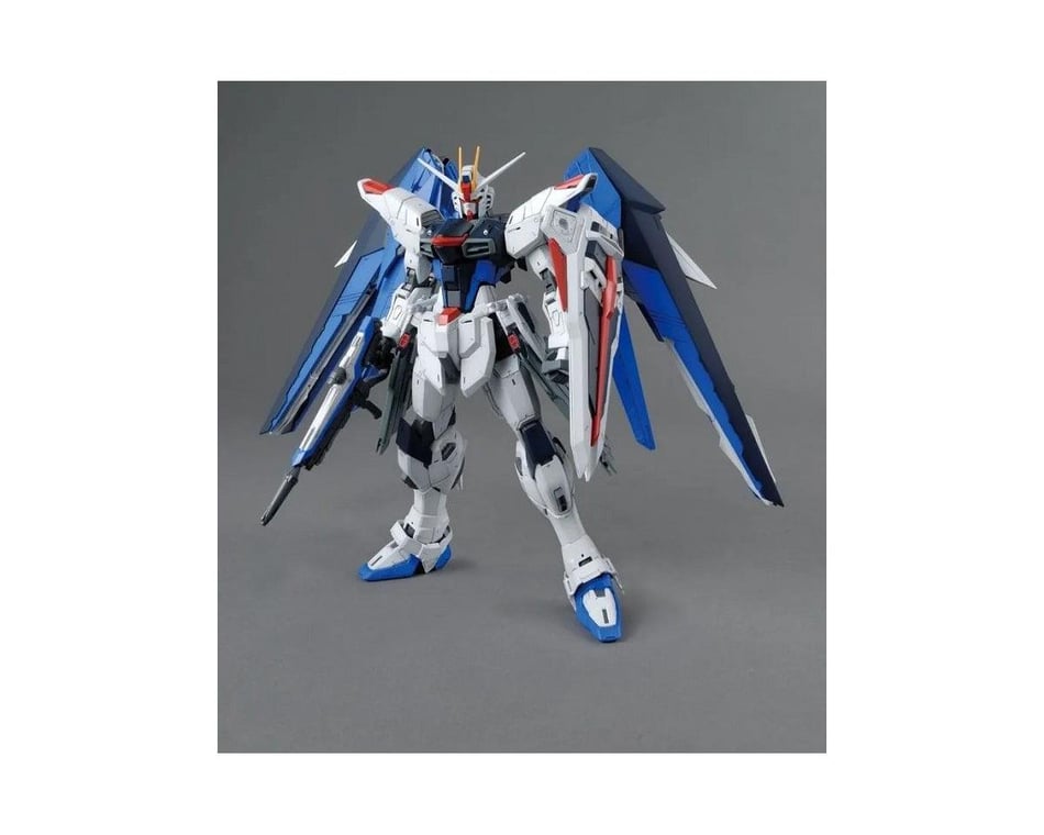 FREEDOM GUNDAM VER 2.OMASTER GRADE
