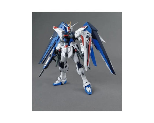 FREEDOM GUNDAM VER 2.OMASTER GRADE