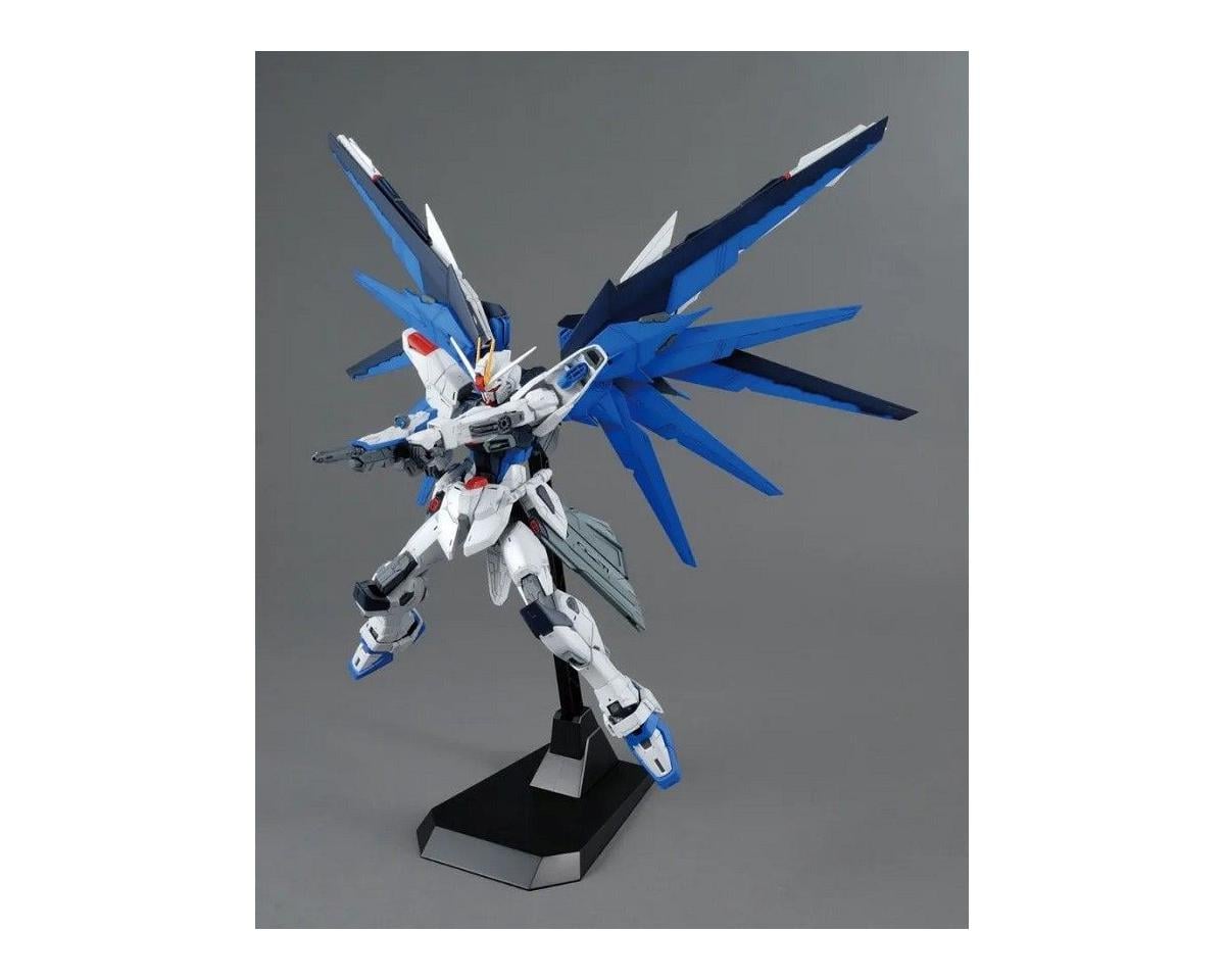FREEDOM GUNDAM VER 2.OMASTER GRADE