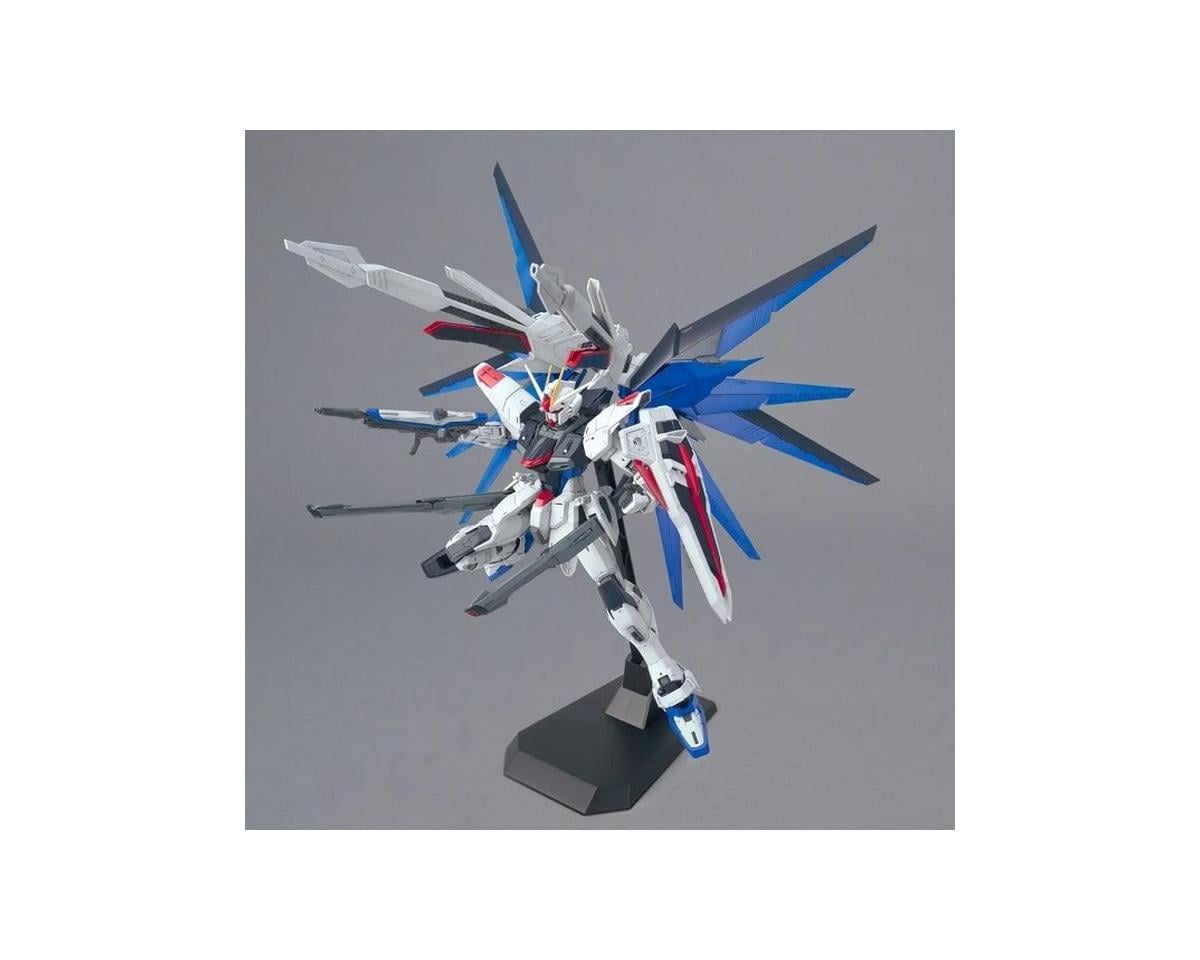 FREEDOM GUNDAM VER 2.OMASTER GRADE